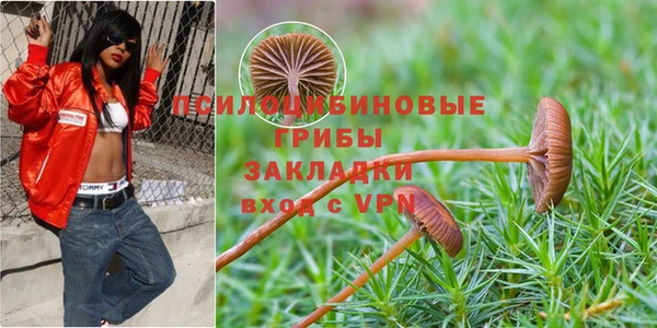 синтетический гашиш Гусев