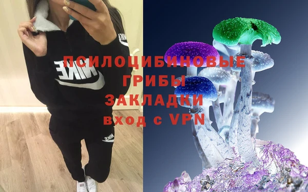 синтетический гашиш Гусев
