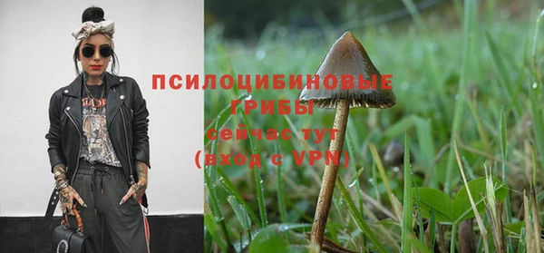 соль курить ск Гусиноозёрск