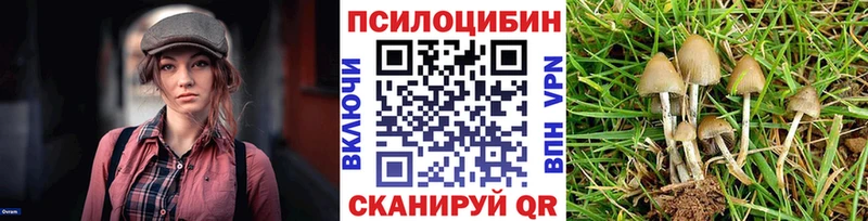 как найти наркотики Заводоуковск Галлюциногенные грибы MAGIC MUSHROOMS
