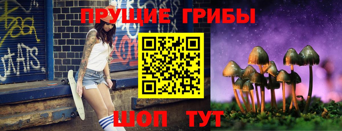Галлюциногенные грибы прущие грибы Заводоуковск