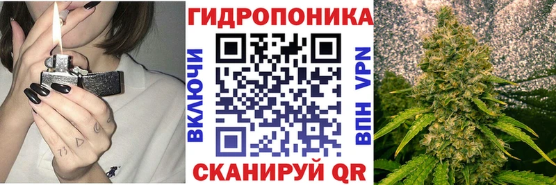 даркнет состав  Заводоуковск  Конопля SATIVA & INDICA 